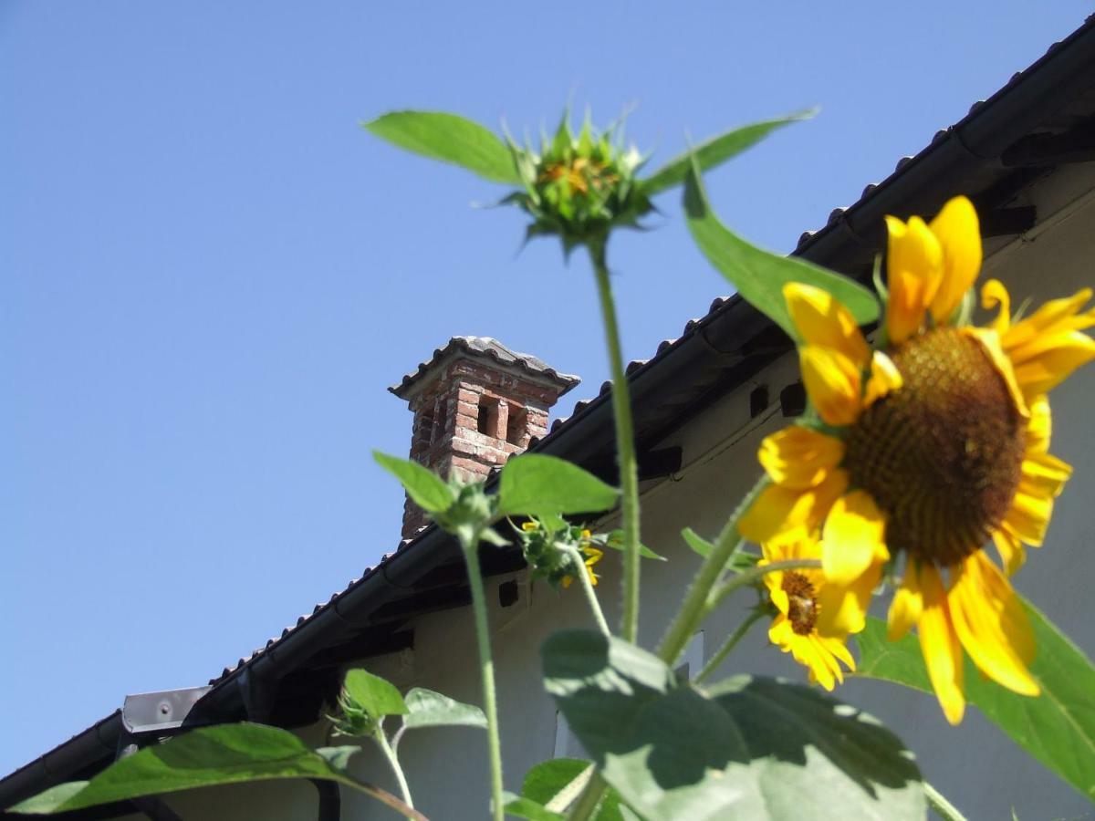 La Meridiana, Monolocale In Cascina Ristrutturata Boves Екстериор снимка